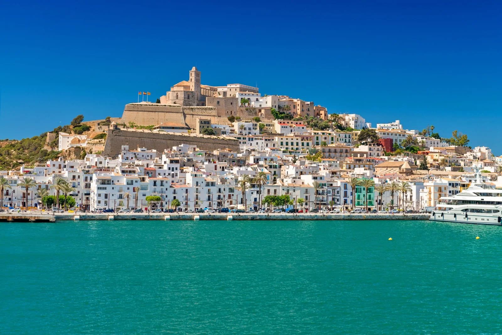 Diseño de Páginas Web para Escritores en Ibiza