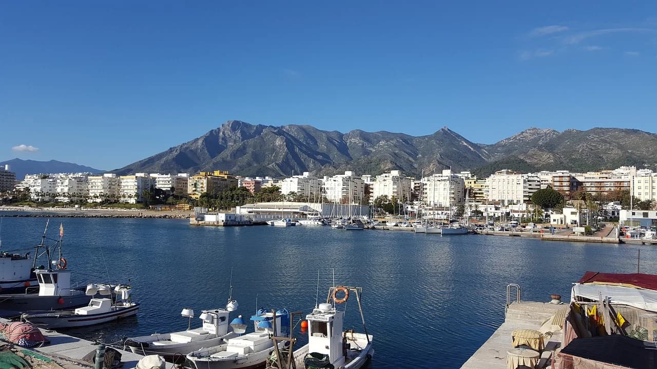 Diseño de Páginas Web para Centros Deportivos en Marbella