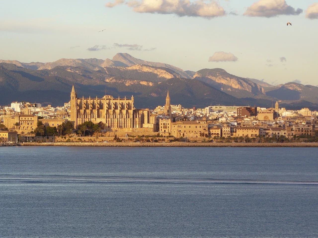 Diseño de Páginas Web para Cafeterías en Palma de Mallorca