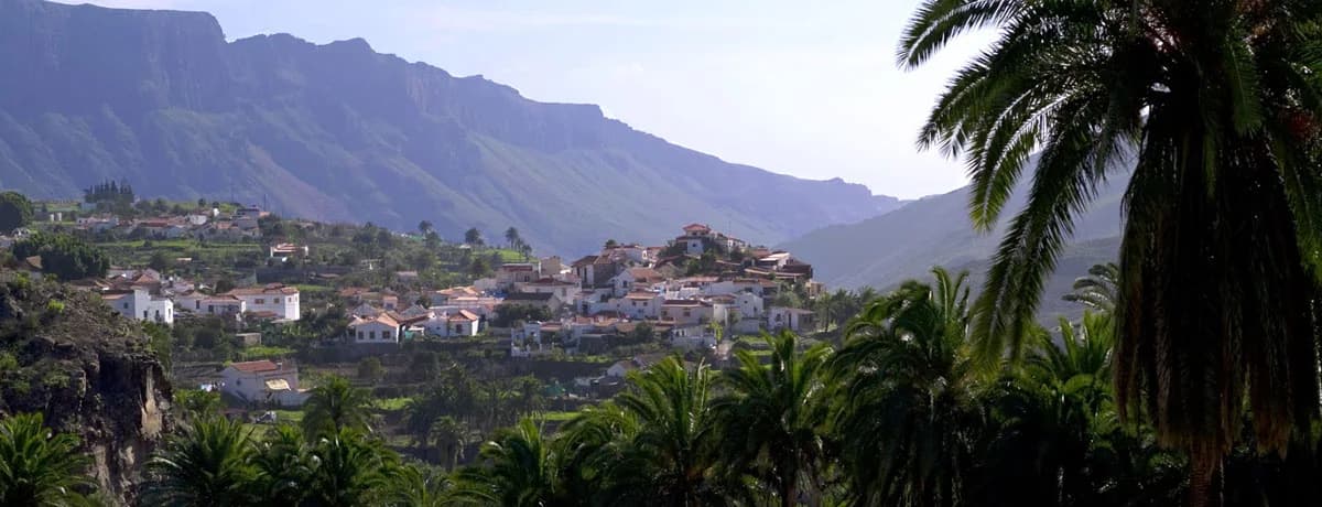 Diseño de Páginas Web para Cerrajeros en San Bartolomé de Tirajana