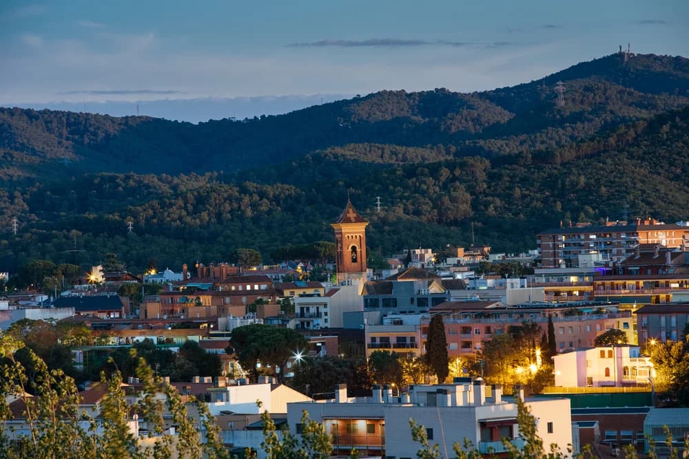 Diseño de Páginas Web para Empresas de Limpieza en Sardañola del Vallés