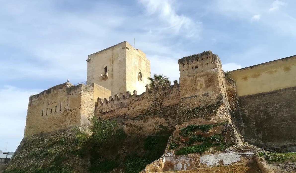 Diseño de Páginas Web para ONGs en Utrera
