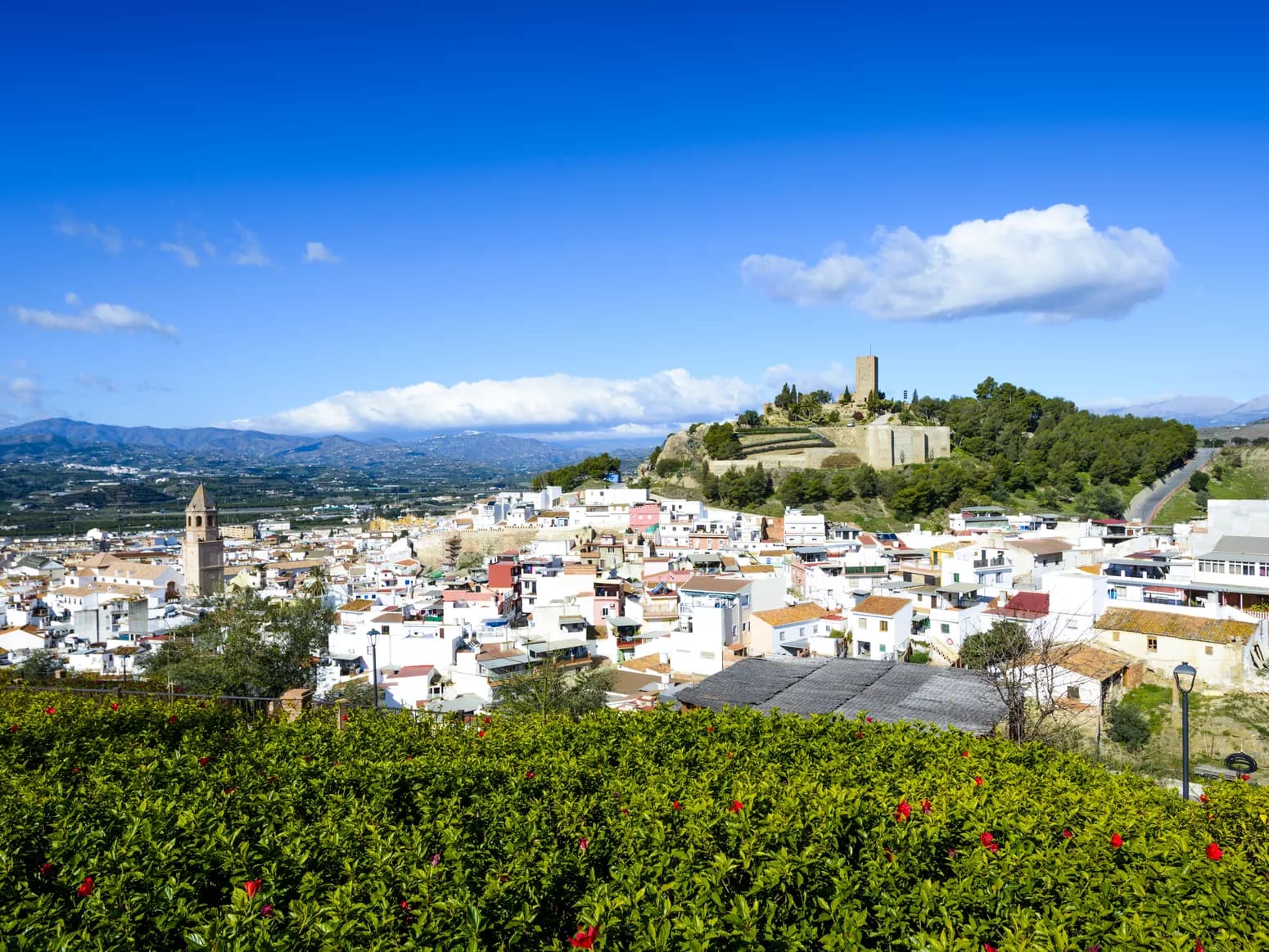 Diseño de Páginas Web para Dietistas en Vélez-Málaga